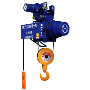 Wire rope hoist