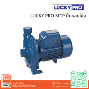 LUCKY PRO MCP