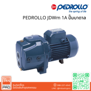 PEDROLLO JDWm 1A ปั๊มบาดาล