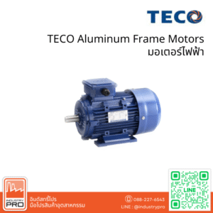 TECO Aluminum Frame Motors