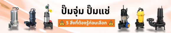เลือกปั๊มจุ่ม