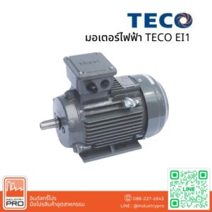 มอเตอร์ไฟฟ้า TECO รุ่น IE1