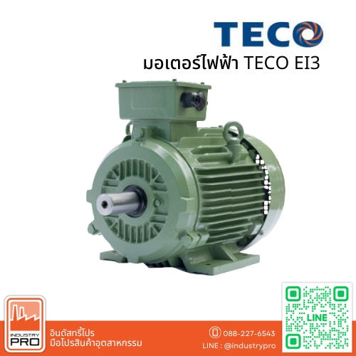 มอเตอร์ไฟฟ้า TECO EI3
