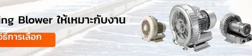 เลือก Ring Blower