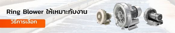 เลือก Ring Blower